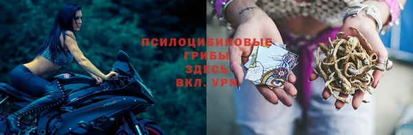 тгк Алексин