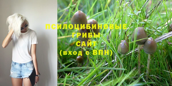 тгк Алексин