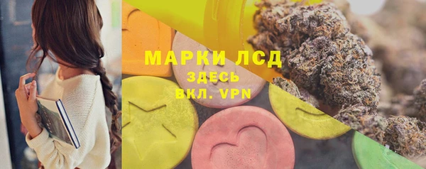 мяу мяу мука Алзамай