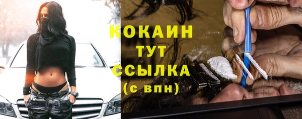 винт Весьегонск