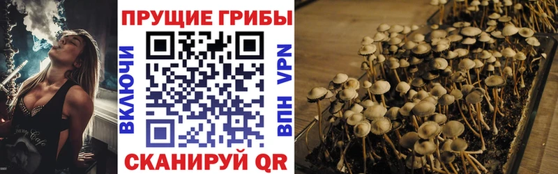 наркота  Фёдоровский  Галлюциногенные грибы Magic Shrooms 
