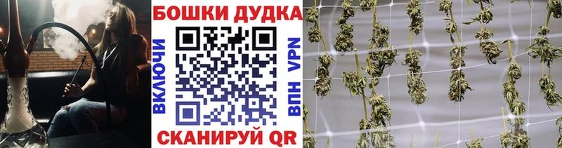 Шишки марихуана планчик  OMG сайт  Фёдоровский 